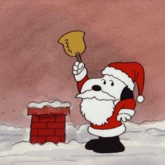 Meet your Posher, William - Picture 1 of 1